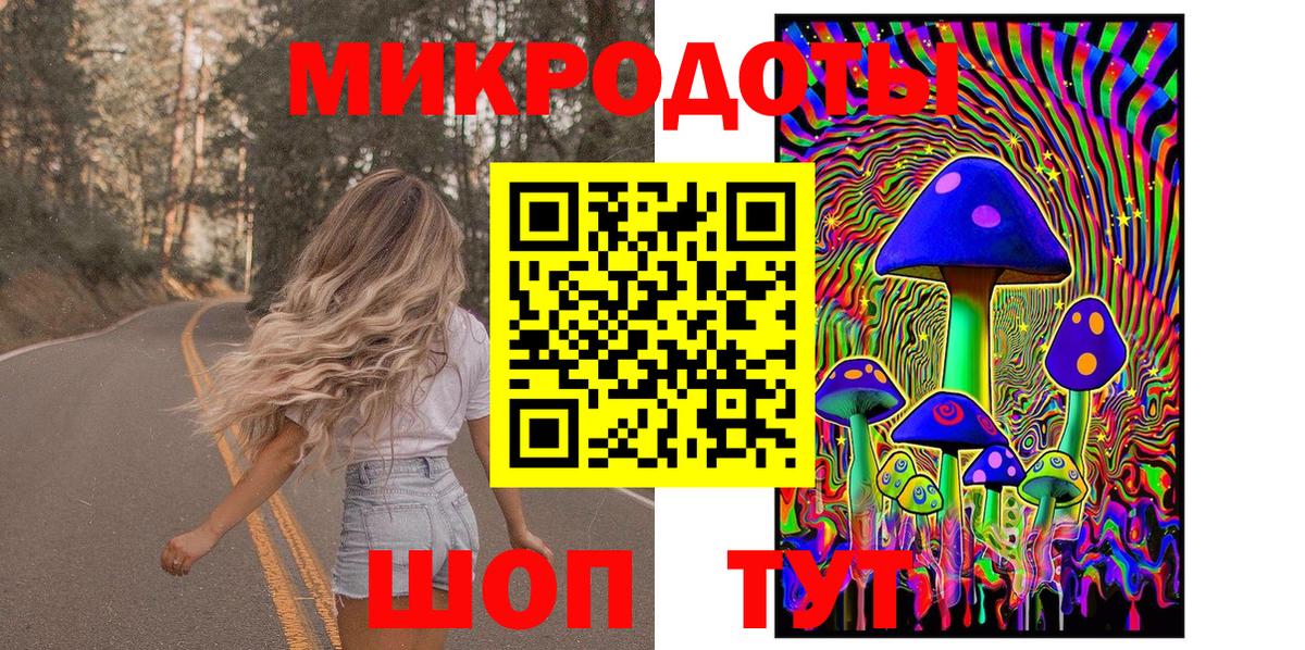 Псилоцибиновые грибы мицелий Ленинск-Кузнецкий